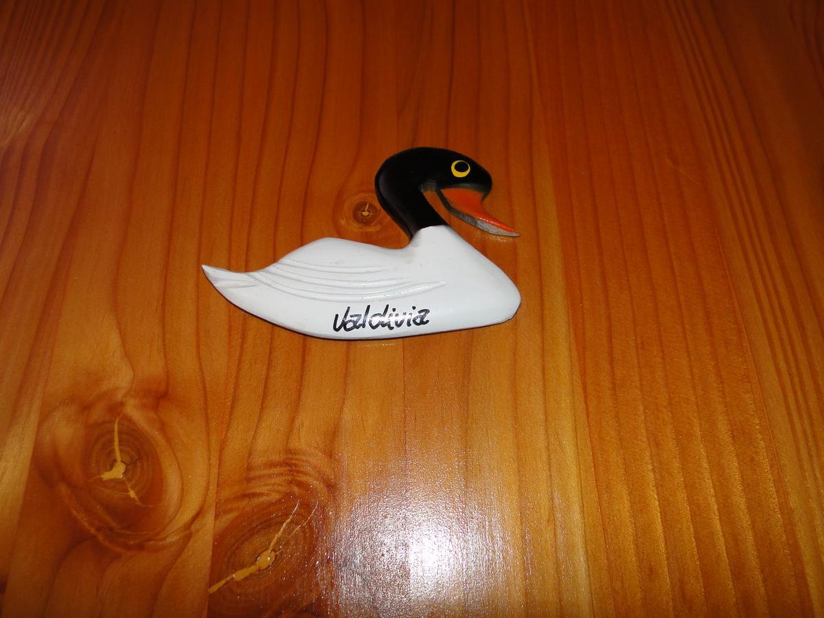Cabanas Cisne Cuello Negro Διαμέρισμα Valdivia Εξωτερικό φωτογραφία